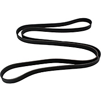Dayco Drive Belt-Serpentine belt