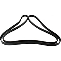 Dayco Drive Belt-Serpentine belt