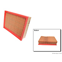 Mann-Filter Air Filter-Disposable