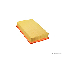 Mann-Filter Air Filter-Disposable